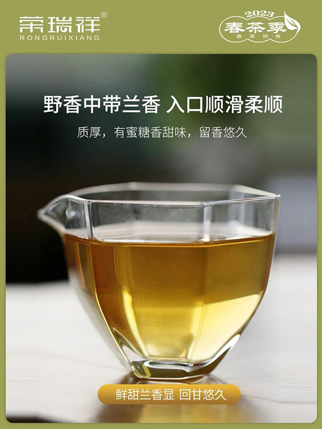 荣瑞祥2023年春茶预售2023年永德大雪山春茶
