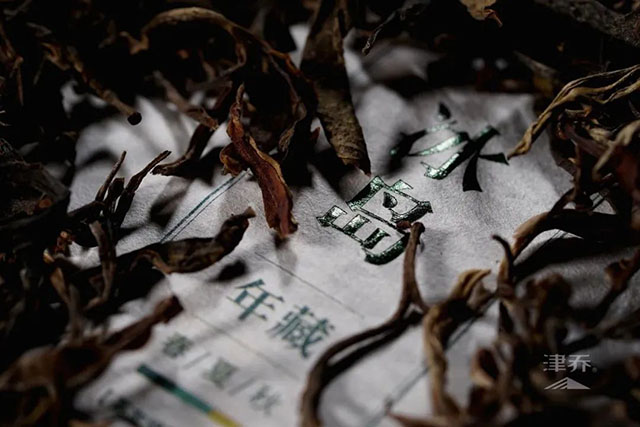 津乔普洱茶友培养计划