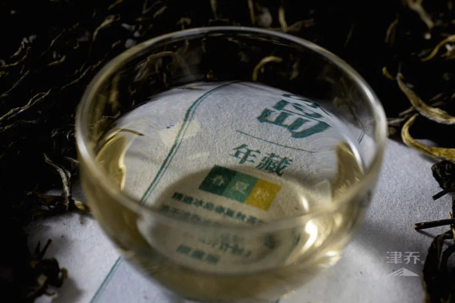 津乔普洱茶友培养计划