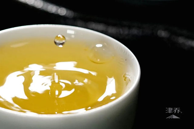 津乔普洱茶友培养计划