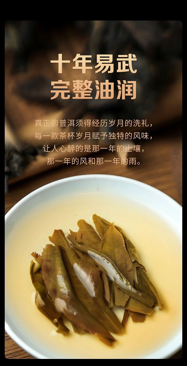 老同志2013年易武正山七子饼普洱茶