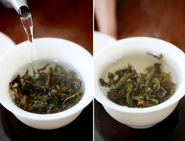 荣瑞祥2023年春茶预售2023年忙肺头春古树茶