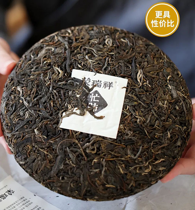 荣瑞祥2023年春茶预售2023年忙肺头春古树茶