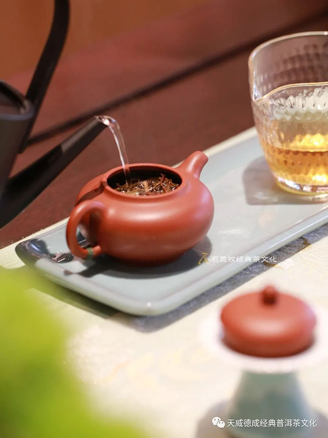 天威德成2023年的天下云茶生茶品质特点