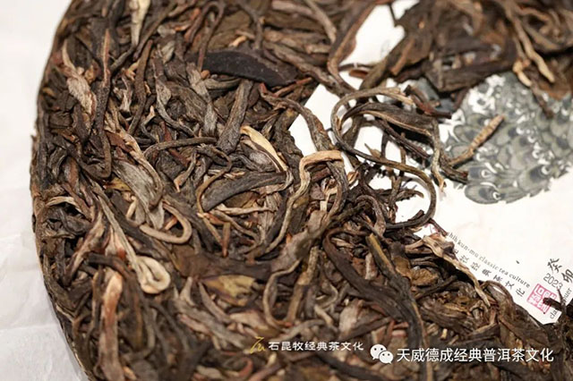 天威德成2023年的天下云茶生茶品质特点