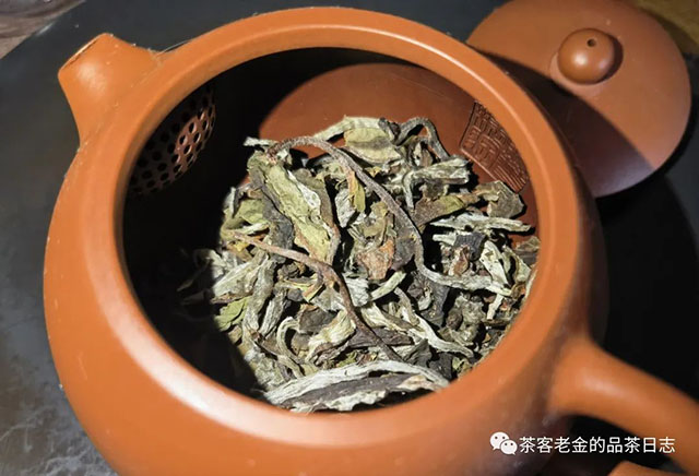 栩月古茶2020年云白