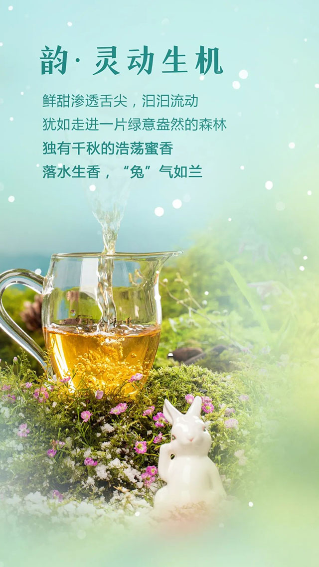 合和昌癸卯生肖纪念茶踏雪迎春普洱茶品质特点