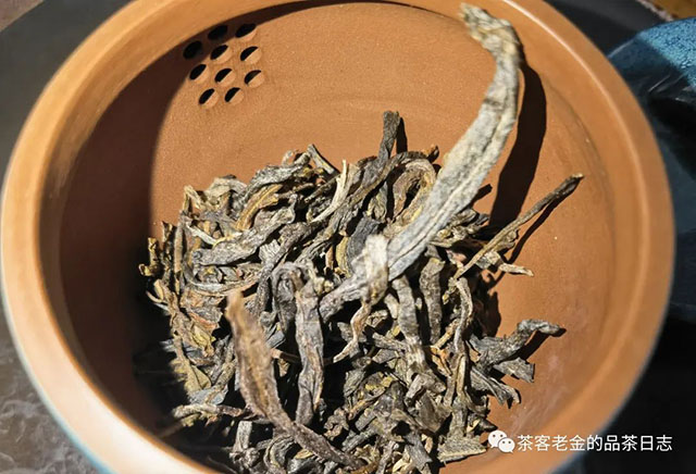 栩月古茶2020年森林普洱茶
