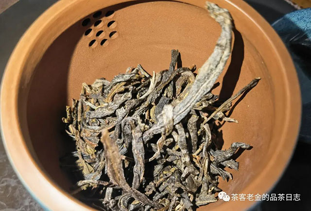 栩月古茶2020年森林普洱茶