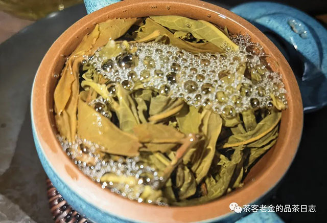 栩月古茶2020年森林普洱茶