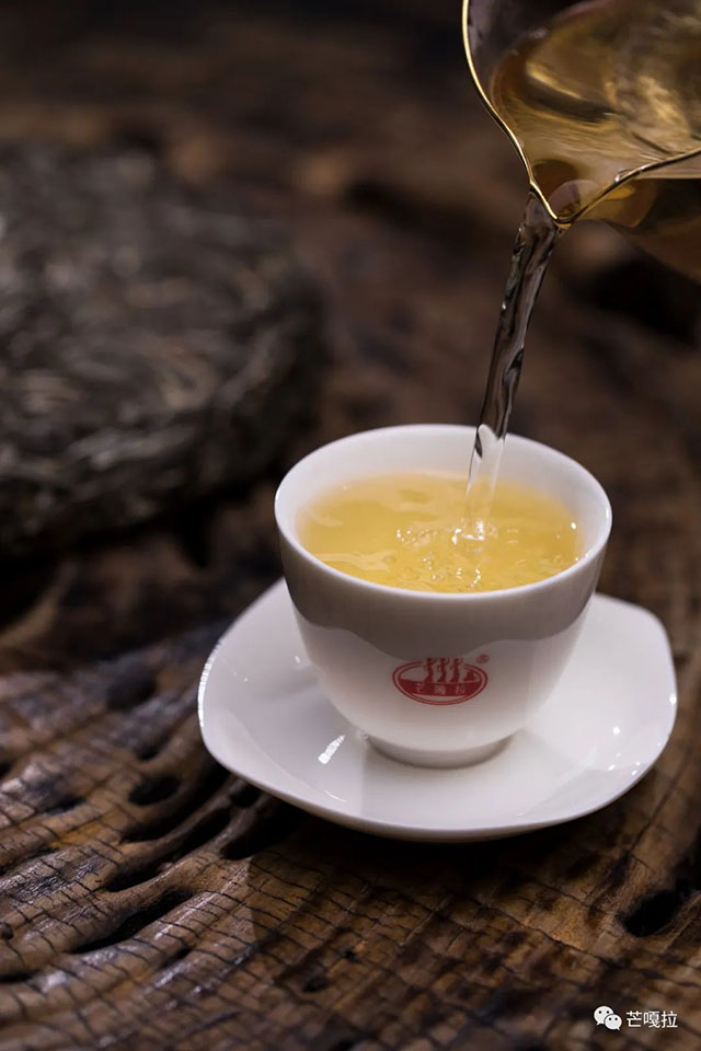 芒嘎拉2023春茶预售开启