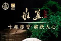 八角亭班盆：比肩茶王班章·十年陈韵现锋芒