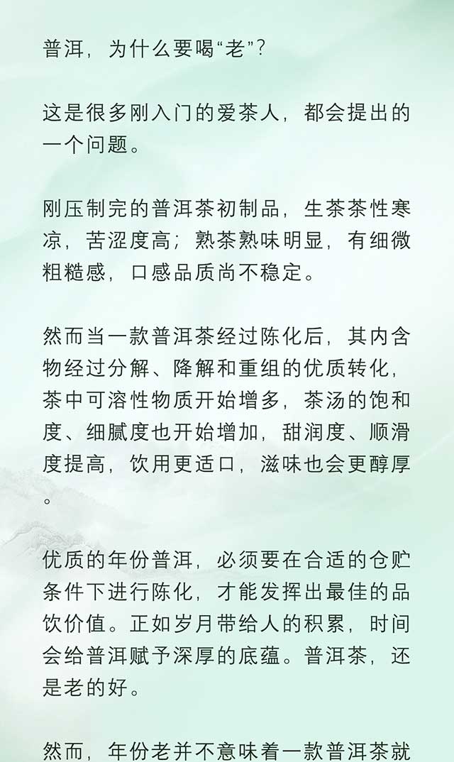 双陈普洱老茶