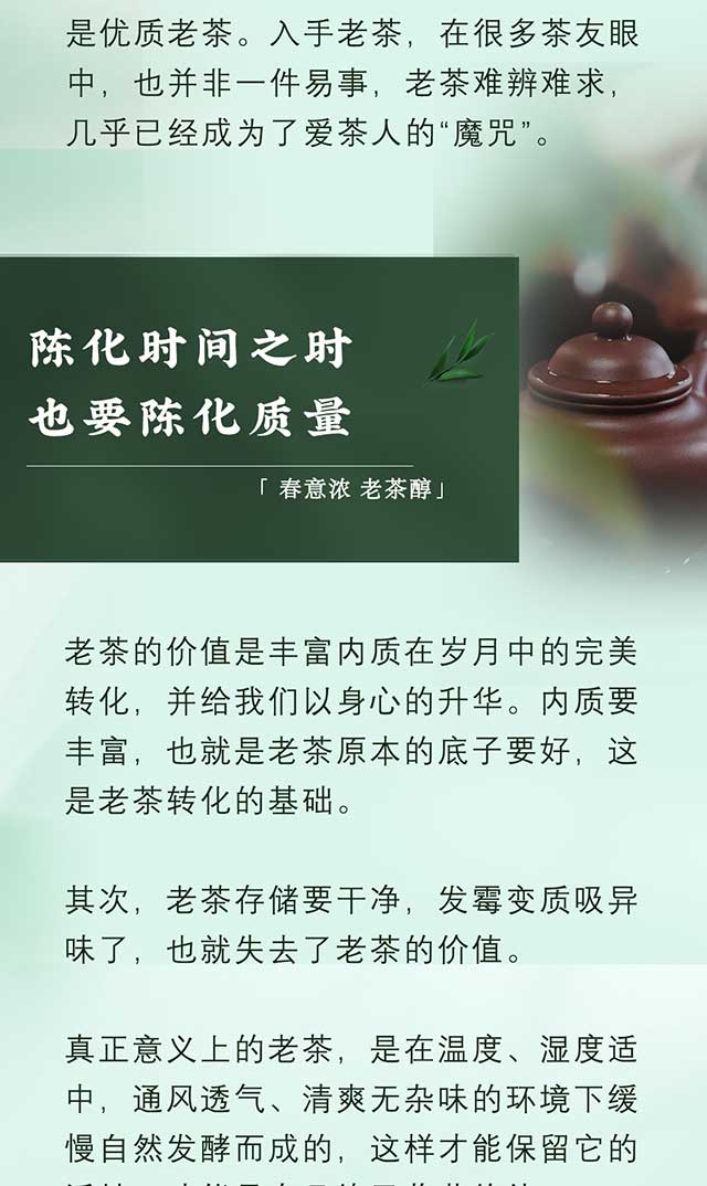 双陈普洱老茶