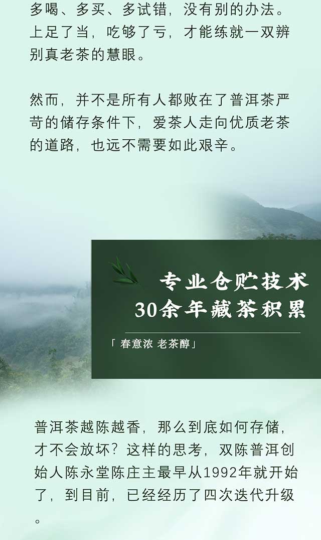 双陈普洱老茶