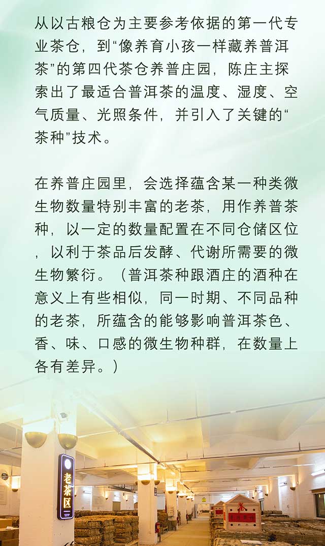 双陈普洱老茶