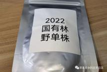 交流茶品——2022年国有林野单株（困鹿山制茶人）