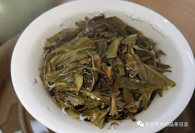 困鹿山制茶人2022年润物普洱茶