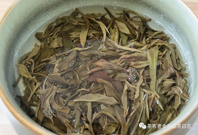 困鹿山制茶人2022年润物普洱茶