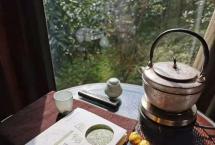 茶业复兴周重林：坐对当窗木，看移三面阴