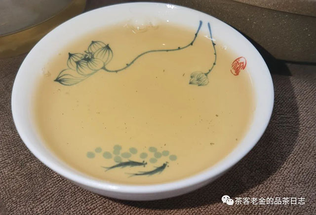 吾茶共饮2021年霜溪梅影普洱茶