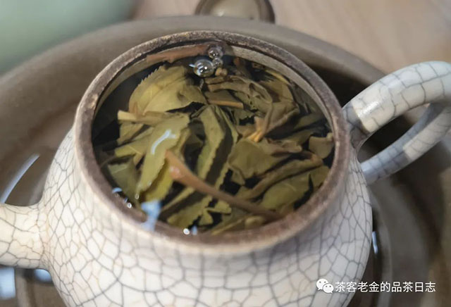 吾茶共饮2021年霜溪梅影普洱茶