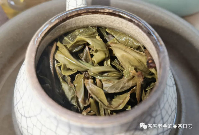 吾茶共饮2021年霜溪梅影普洱茶