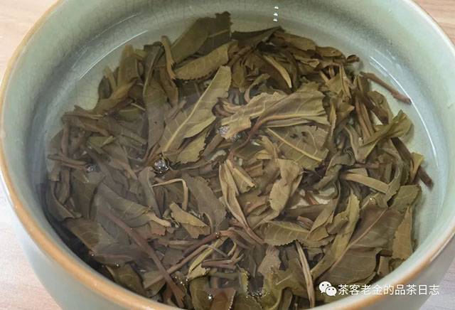 吾茶共饮2021年霜溪梅影普洱茶