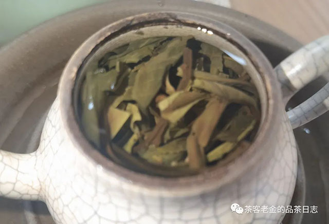 吾茶共饮2022年春山玉兰普洱茶