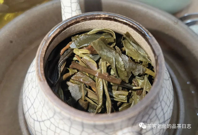 吾茶共饮2022年春山玉兰普洱茶
