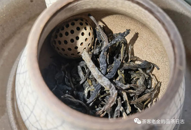 吾茶共饮2022年春山玉兰普洱茶