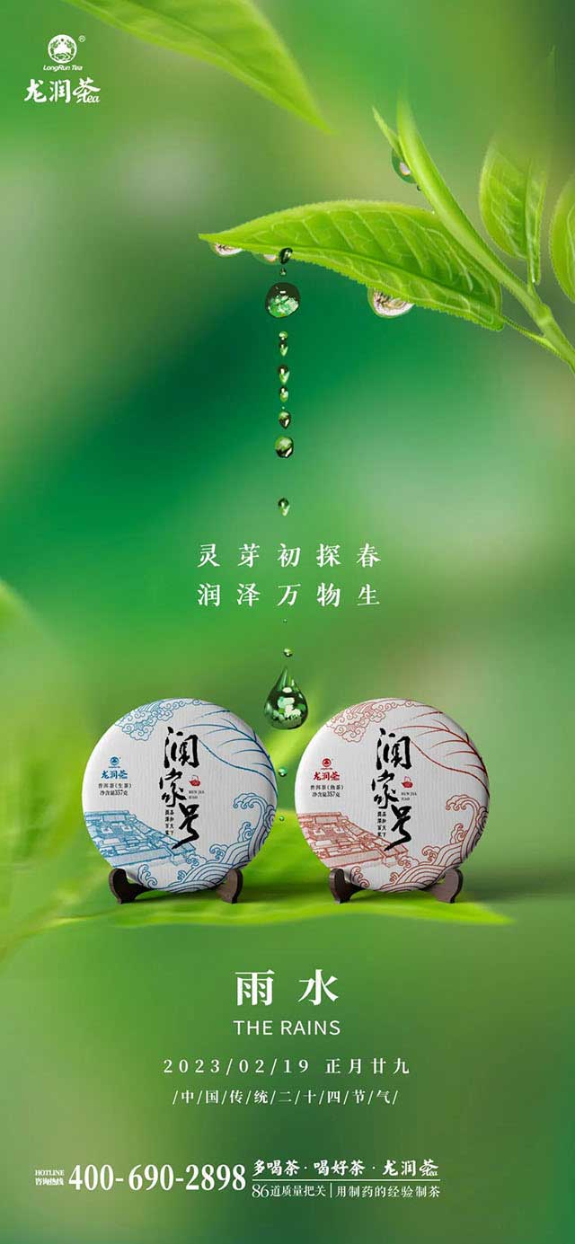 云南龙润茶业