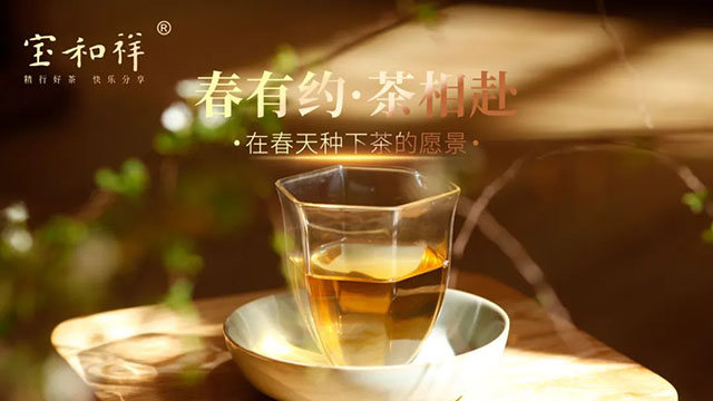 宝和祥茶会