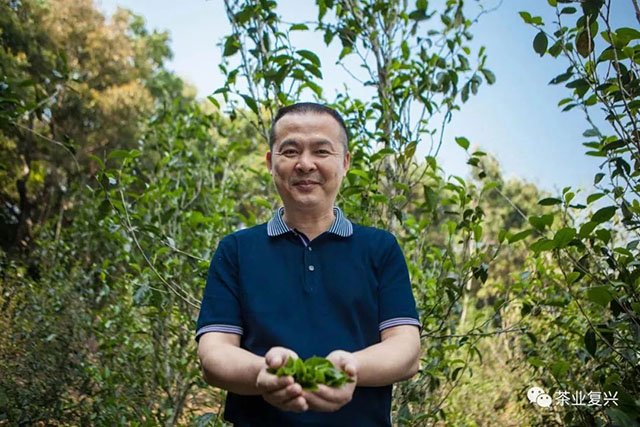 郑少烘易武茶会