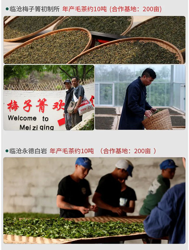 荣瑞祥2023年春茶预售