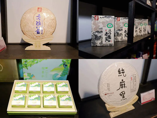 中吉号辽宁总代理盛大起航