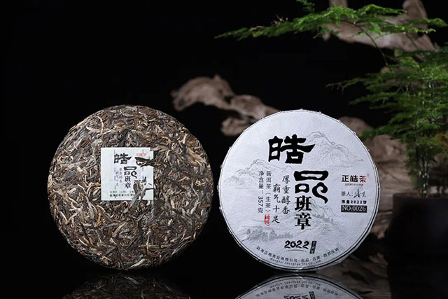 正皓茶2022皓品班章普洱茶品鉴