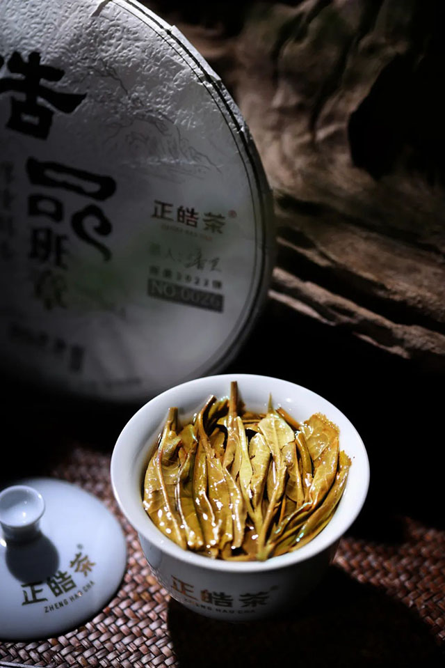 正皓茶2022皓品班章普洱茶品鉴