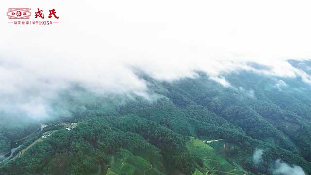 勐库戎氏忙肺茶山行