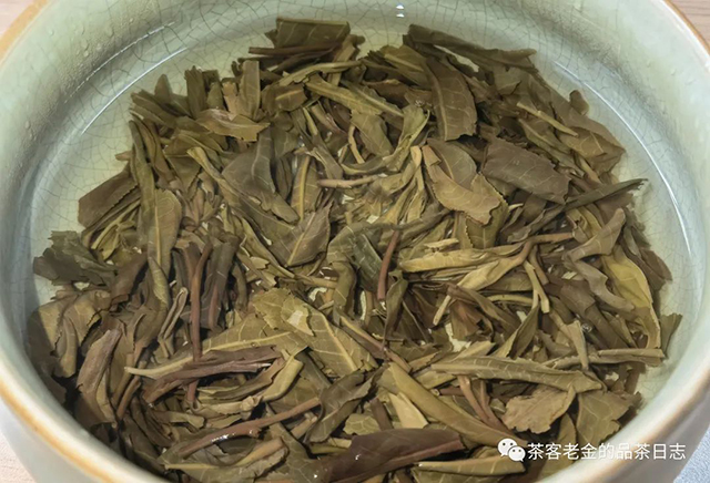 吾茶共饮普洱茶