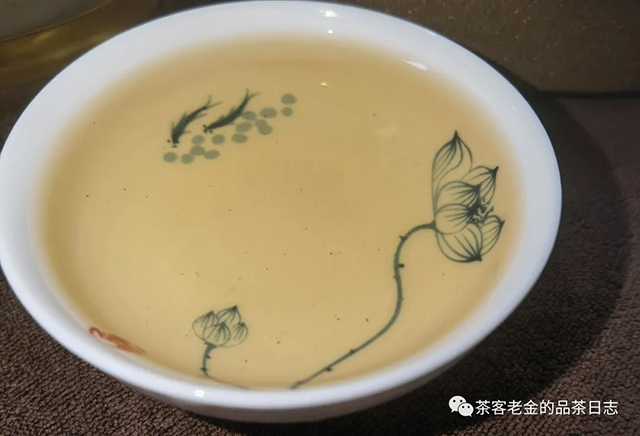 吾茶共饮普洱茶