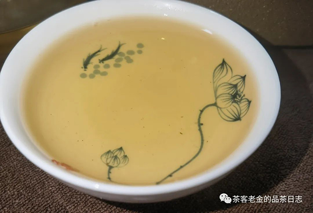 吾茶共饮普洱茶