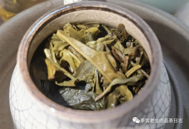 吾茶共饮普洱茶