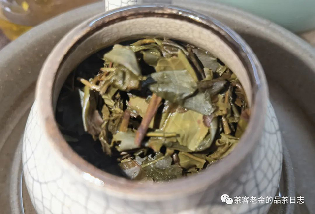 吾茶共饮普洱茶