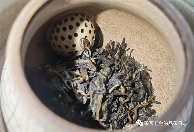 吾茶共饮普洱茶