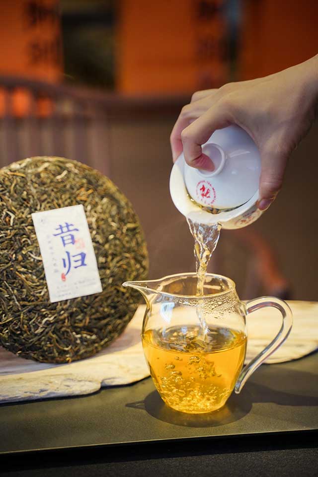 六大茶山首款昔归普洱茶品质特点