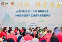 “变革创新，携手共赢”|2023与中茶普洱相约广州