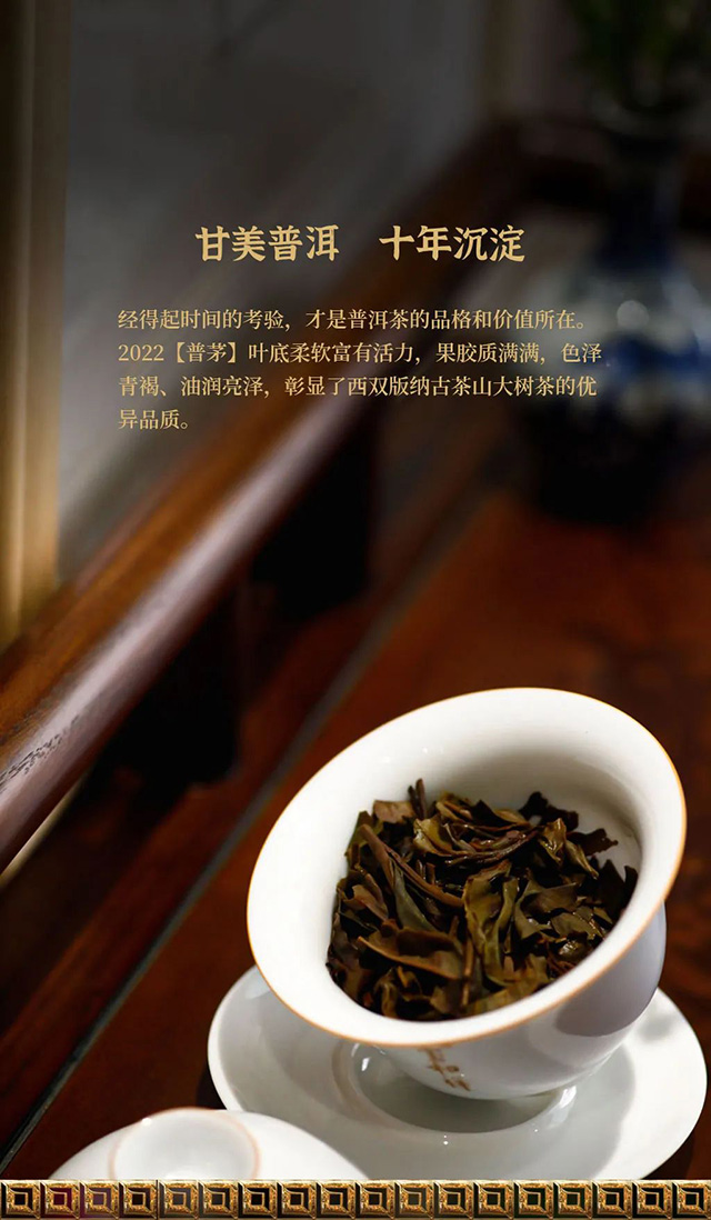 宝和祥普茅匠心十年青饼普洱茶品质特点