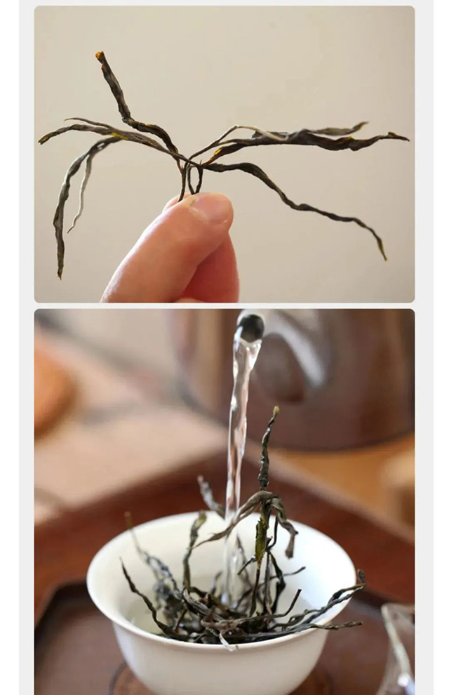 蟒蛇箐小高杆
