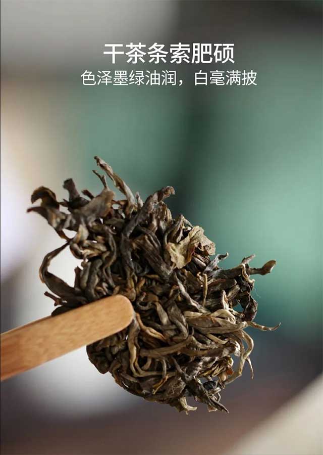 荣瑞祥弯腰树普洱茶